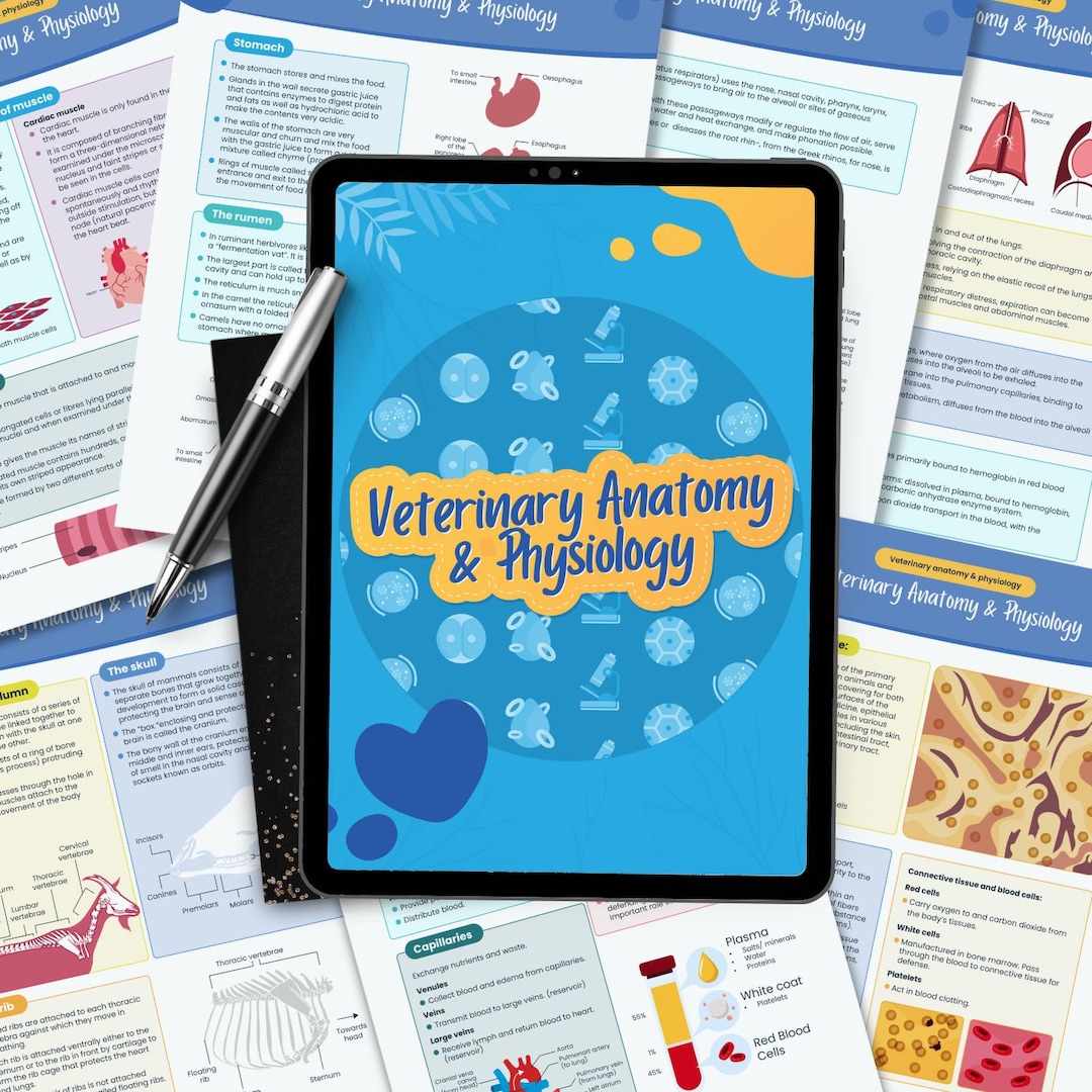 Vet Notes.pdf Veterinary Anatomy and Physiology Notes Nurse Study Guide Vet Nursing ...