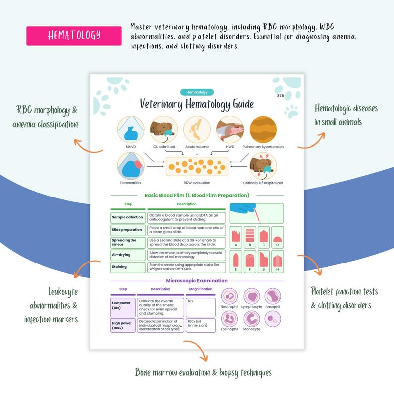 Peut inclure: Un guide infographique color&eacute; sur l'h&eacute;matologie v&eacute;t&eacute;rinaire, mettant en sc&egrave;ne un chien de dessin anim&eacute; et des illustrations de cellules sanguines. Le guide couvre des sujets tels que la morphologie des globules rouges, les anomalies des globules blancs, les troubles plaquettaires et les maladies h&eacute;matologiques chez les petits animaux. Il comprend &eacute;galement des instructions pour la pr&eacute;paration et l'examen des frottis sanguins.