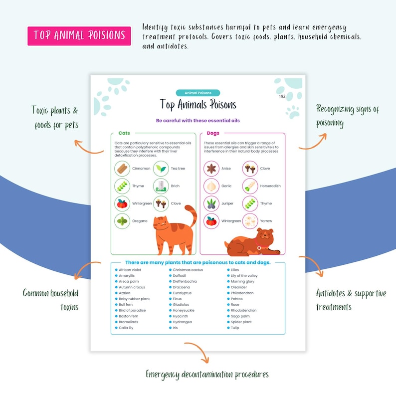 Peut inclure: Une infographie color&eacute;e intitul&eacute;e "Top Animal Poisons" avec des illustrations de chats et de chiens. L'infographie liste les toxines m&eacute;nag&egrave;res courantes, les plantes toxiques pour les chats et les chiens, ainsi que les huiles essentielles nocives pour les animaux de compagnie. Elle comprend &eacute;galement des informations sur la reconnaissance des signes d'empoisonnement et les proc&eacute;dures de d&eacute;contamination d'urgence.
