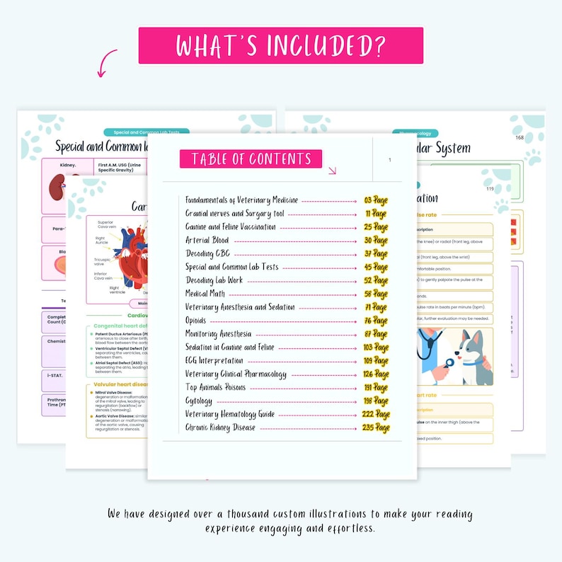 Peut inclure: Une table des mati&egrave;res color&eacute;e pour un manuel v&eacute;t&eacute;rinaire avec des illustrations d'un c&oelig;ur canin, d'un chien et d'un rein. Le texte comprend des sujets tels que les fondements de la m&eacute;decine v&eacute;t&eacute;rinaire, la vaccination canine et f&eacute;line, le sang art&eacute;riel, le d&eacute;codage du CBC, les tests de laboratoire sp&eacute;ciaux et courants, le d&eacute;codage du travail de laboratoire, les math&eacute;matiques m&eacute;dicales, l'anesth&eacute;sie et la s&eacute;dation v&eacute;t&eacute;rinaires, les opio&iuml;des, la surveillance de l'anesth&eacute;sie, la s&eacute;dation chez le chien et le chat, l'interpr&eacute;tation de l'ECG, la pharmacologie clinique v&eacute;t&eacute;rinaire, les poisons des animaux les plus courants, la cytologie, le guide d'h&eacute;matologie v&eacute;t&eacute;rinaire et la maladie r&eacute;nale chronique.