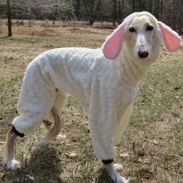 Large Dog Woof In Sheeps Clothing Costume