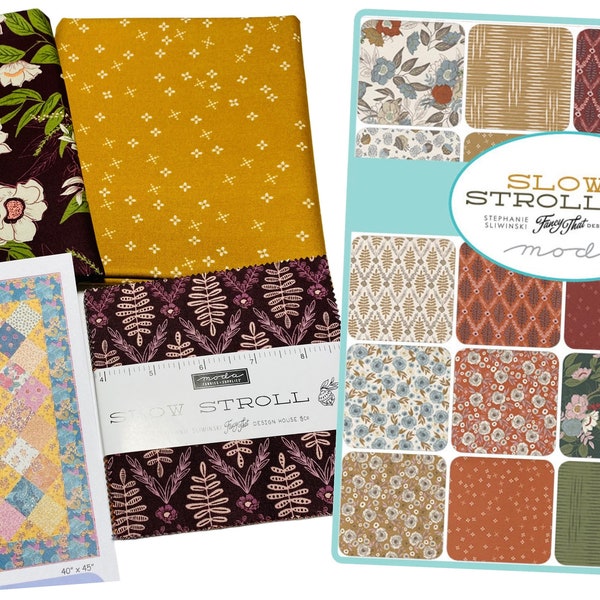 Moda Slow Stroll by Fancy that design house Quilt Kit