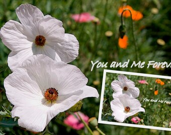 Fine Art Photography-You and Me Forever