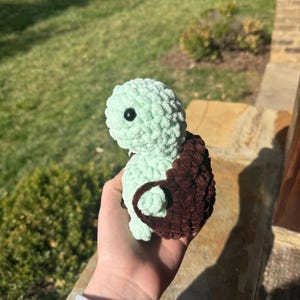 Crochet cheeky turtle, booty turtle