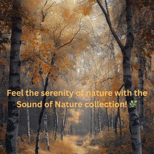 Sounds of Nature – 83 High-Quality Field Recordings in WAV | Rain, Wind, Water, Forest, Animal Ambience | Royalty Free | 24-bit WAV Pack
