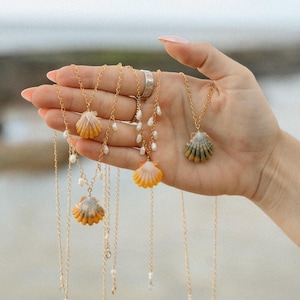 Hawaii Sunrise Shell Necklace, Rare Shell, Scallop Shell Necklace, 14k Gold Filled, Handmade Necklace