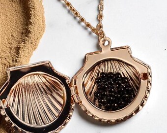 Seashell Surprise Necklace