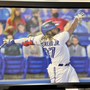 28x40 Toronto Blue Jays Vladimir Guerrero Jr framed textured print wall art