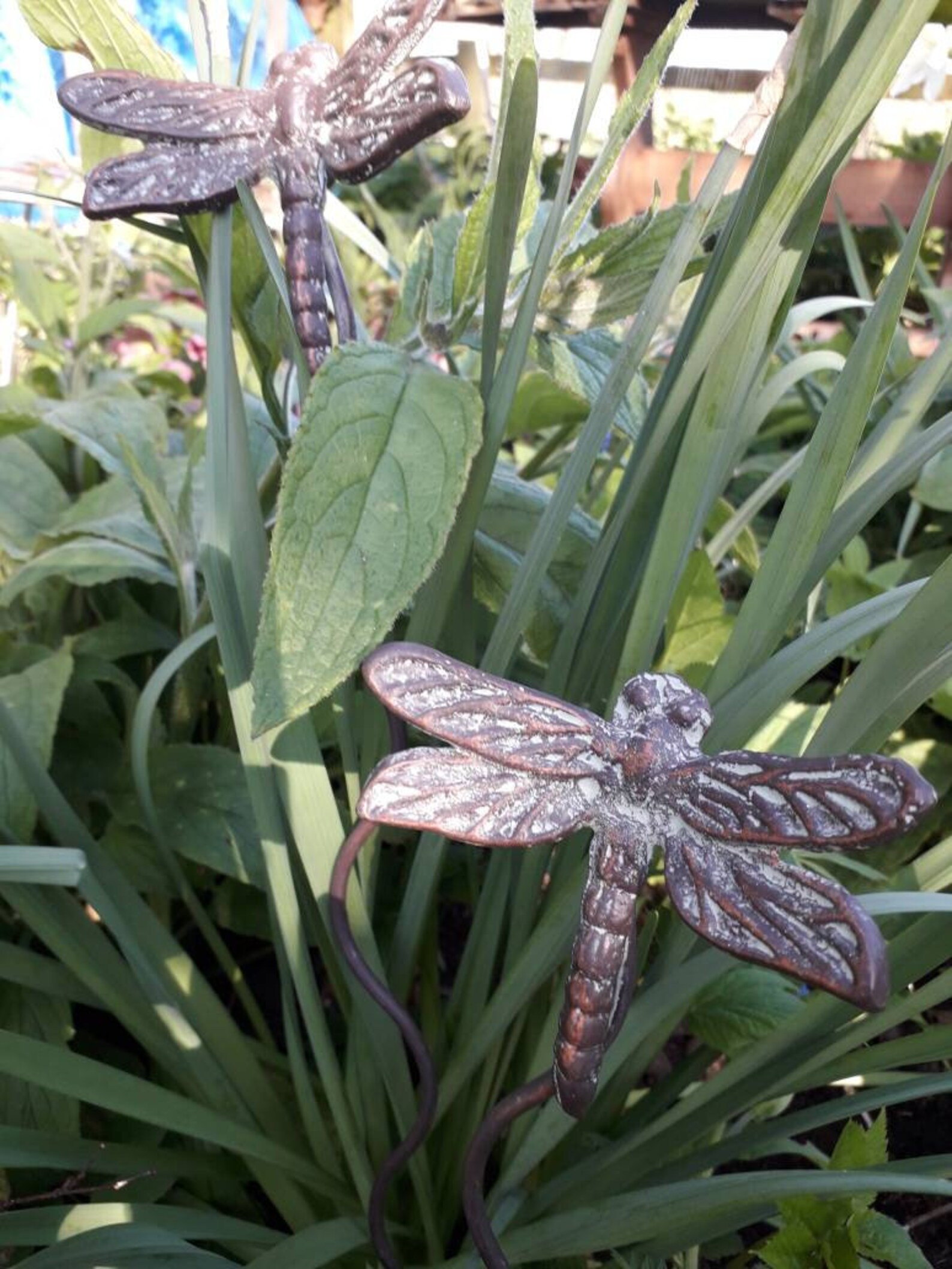 Dragonflies Dragonfly Garden Stakes x 2 Plant Pot Garden Etsy