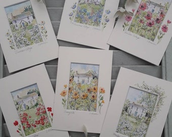 Cottage watercolour paintings, unframed, ready to frame.