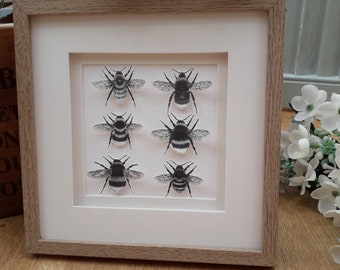 Bee, Bumble Bee Framed picture, Paper Bee picture, Gift, Keepsake, Art, Unique Art,