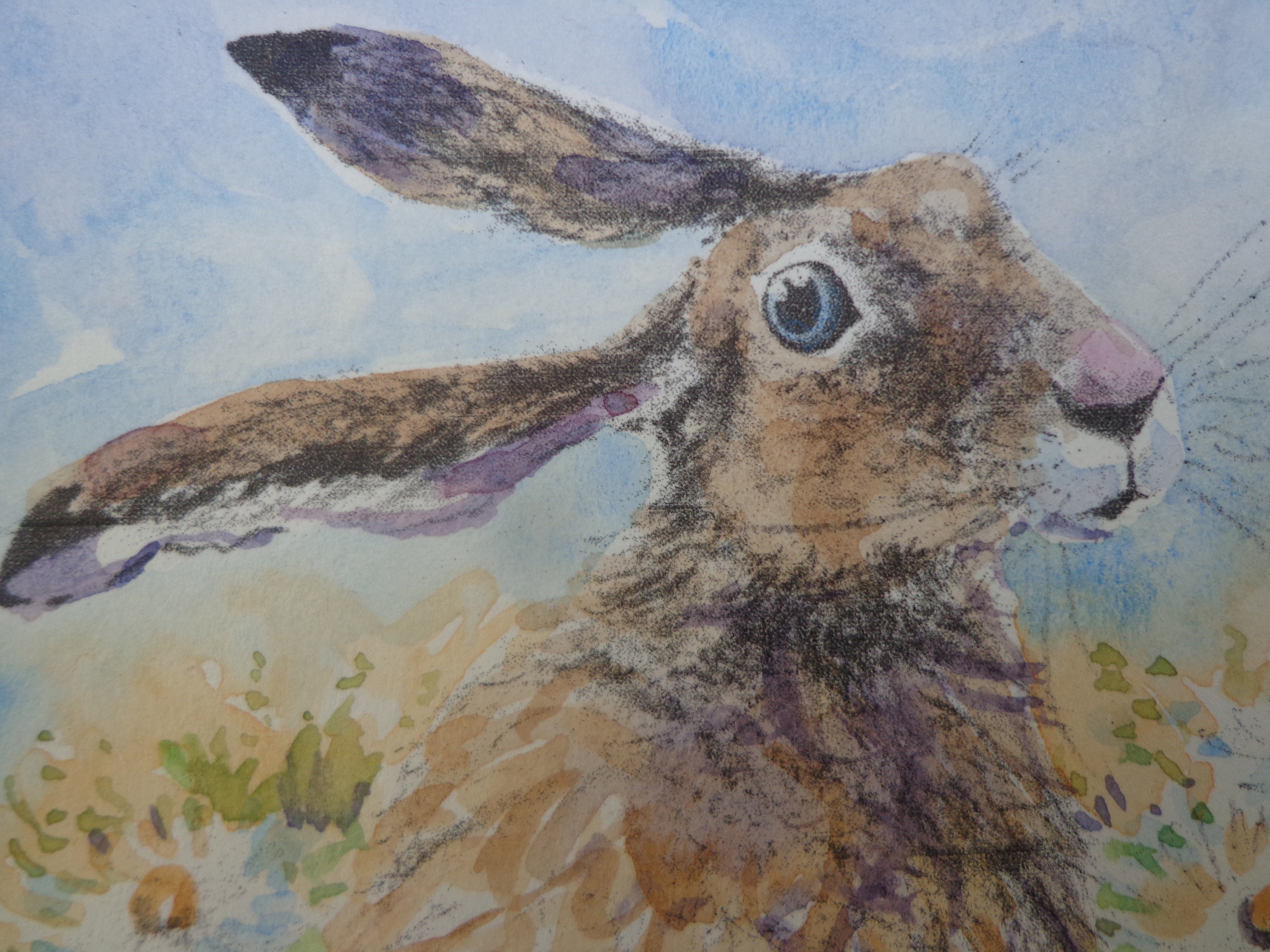 HARE Watercolour Painting 5in Square, Hare and Moon Daisies, Hares ...