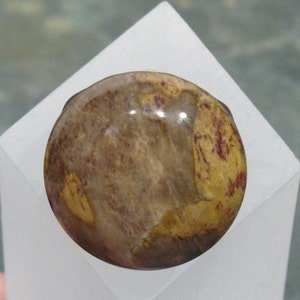 Wooden Shank Ring Wood Agate Ring Agatized Wood Size 7 1/2 R154 image 3