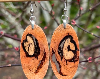 Lightweight Wooden Avocado Wood Earrings Jason Mraz