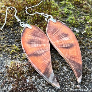 May include: A pair of wooden earrings with a natural wood grain pattern. The earrings are teardrop-shaped, with a light brown and dark brown color scheme. They have silver-colored hooks.