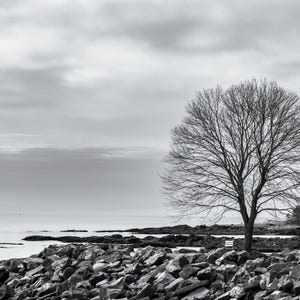 Ocean Photography Instant Download, Coastal Wall Art, Printable Digital Download, Black and White, Landscape Scenery, New England