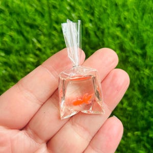 Puede incluir: Una pequeña bolsa de plástico transparente llena de agua y un pequeño pez dorado naranja. La bolsa está sellada en la parte superior. El pez dorado es visible dentro de la bolsa, sobre un fondo verde.