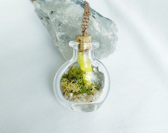 Terrarium Necklace with butterfly wing : hand blown glass vial