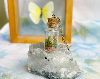 Terrarium Necklace with Crystal - Glass Vial