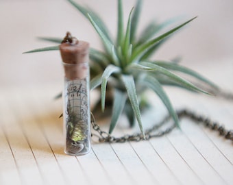 Field Notebook Necklace - with lab sample in glass vial