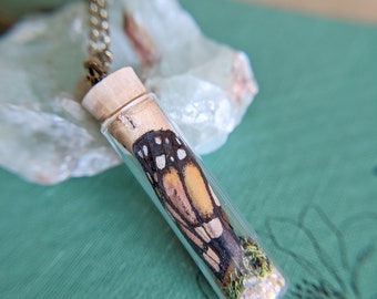 Monarch Butterfly Terrarium Necklace  - Glass Vial