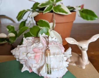 Terrarium Necklace with Moss - Glass Vial