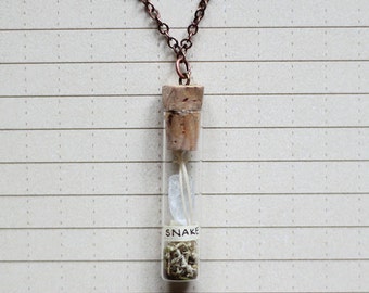 Terrarium Necklace : Bone, Natural Science -  Snake Ribs