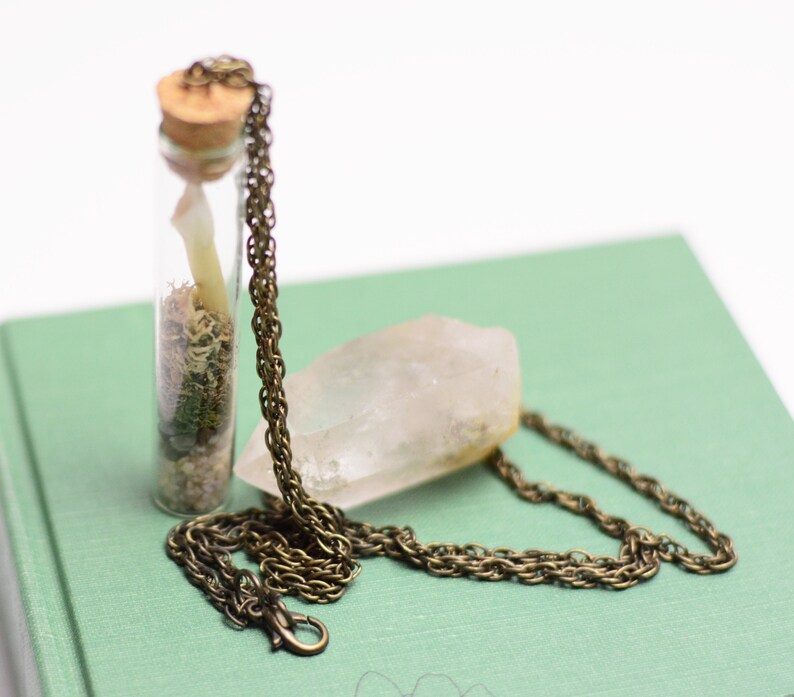 Terrarium Necklace : Bone, Natural Science Mammal Incisor image 2