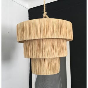 raffia pendant light , hanging lamp shade in raffia , Rattan Pendant Light High Quality Handmade, Retro Boho Lighting Decor for All Rooms