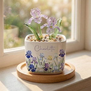 Puede incluir: Una maceta cuadrada de cerámica blanca con un diseño floral de iris y el nombre "Charlotte" en escritura cursiva. La maceta contiene piedras decorativas y flores de iris de cristal. Se encuentra sobre una bandeja redonda de madera.