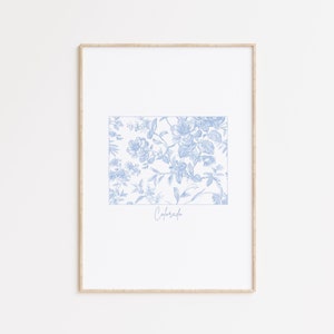 Arte mural floral de Colorado, póster azul y blanco de Colorado, impresión chinoiserie de la costa oeste, arte de la abuela milenial, decoración de pared costera para nietas