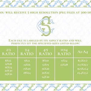 May include: A digital art print information sheet with a light green and white floral border. The text includes details about the high-resolution JPEG files, aspect ratios, and print sizes, such as 20x30 cm, 30x45 cm, and 40x60 cm.