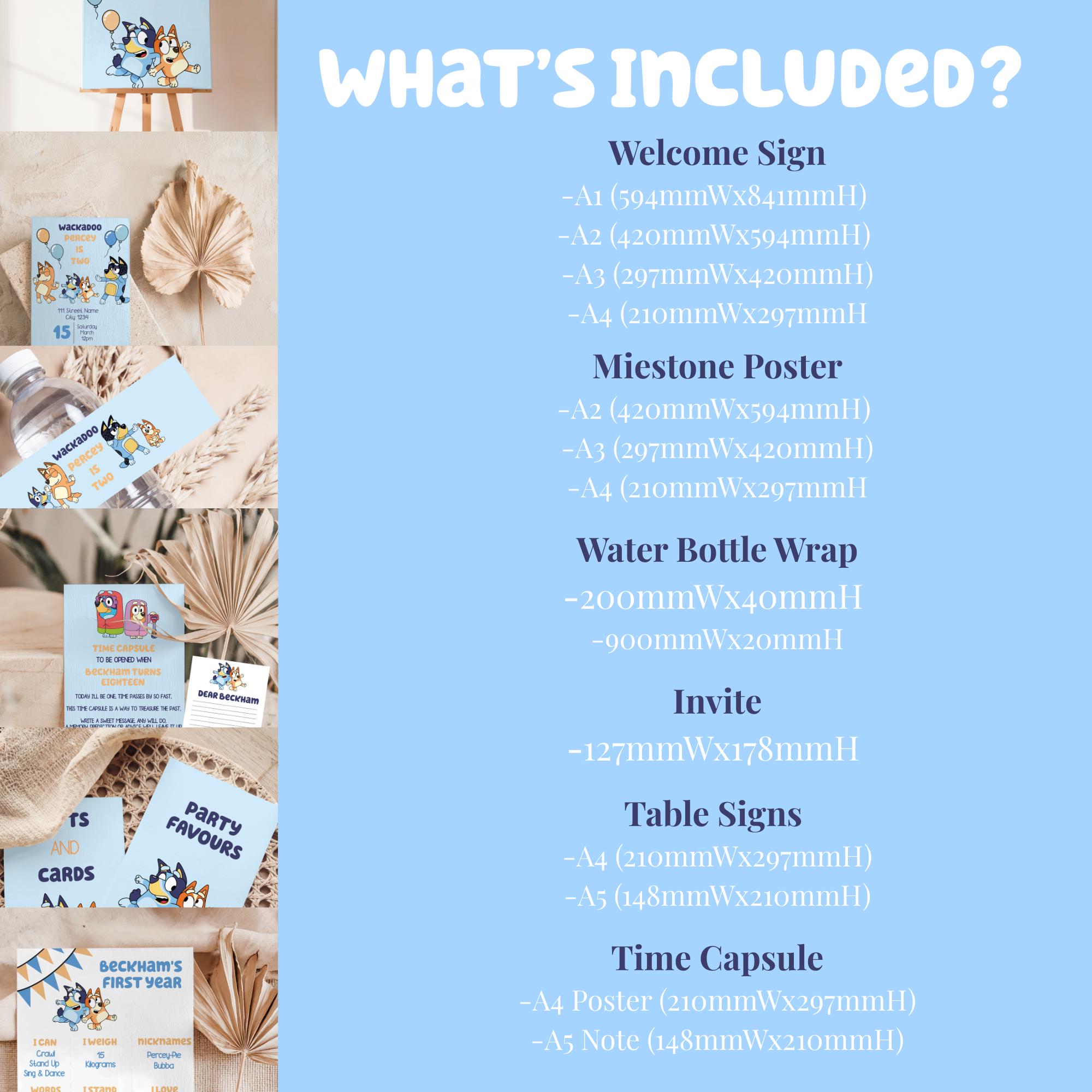 Bluey Party Bundle on Corjl