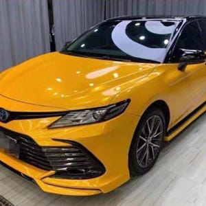 Bumblebee Yellow