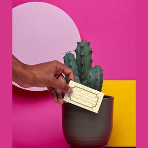 Étiquettes imprimables polyvalentes pour plantes de jardinage, marqueurs de graines, étiquettes de jardin pour plantes d'intérieur et d'extérieur, étiquettes botaniques pour organisation de jardin