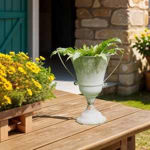 French Retro Metal Flower Pot Shabby Chic Two-Eared Urn Garden Flower Pot Flower Plant Display Home Garden Decor