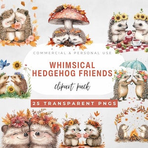 Clipart amis hérisson lunatique, illustrations à l'aquarelle, 24 PNG à usage commercial, hérissons mignons Bestie amis téléchargement numérique clipart