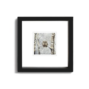 Warmth ~ Owls ~ 5X5