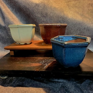 May include: Three small ceramic pots in shades of blue, brown, and cream sit on a wooden display. The pots have a hexagonal shape and a glossy finish. The wooden display is dark brown.