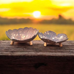 Jabonera de cáscara de coco