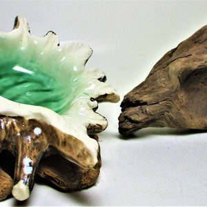 May include: A ceramic seashell bowl with a green glaze, mounted on a piece of driftwood. The bowl is shaped like a conch shell and has a natural brown and white finish.