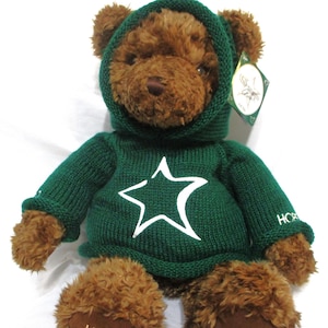 Puede incluir: Un oso de peluche marrón que lleva una sudadera con capucha y un suéter de punto verde con un diseño de estrella blanca. Las patas del oso tienen bordada la palabra "HOPE". Una etiqueta está adjunta a la sudadera con capucha del oso.
