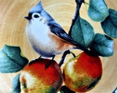 Lenox Dinner Plate Splendor Winter Greetings Everyday Tartan Tufted Titmouse Collector Plate Bird Apple Tree Flower Plaid Rare