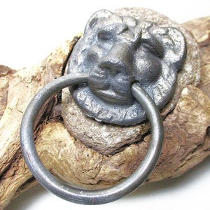 May include: A cast iron lion's head door knocker with a ring handle attached to a piece of driftwood.