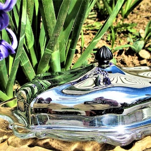 May include: A silver butter dish with a glass lid and a black knob on top. The dish is sitting on a brown surface with green plants in the background.