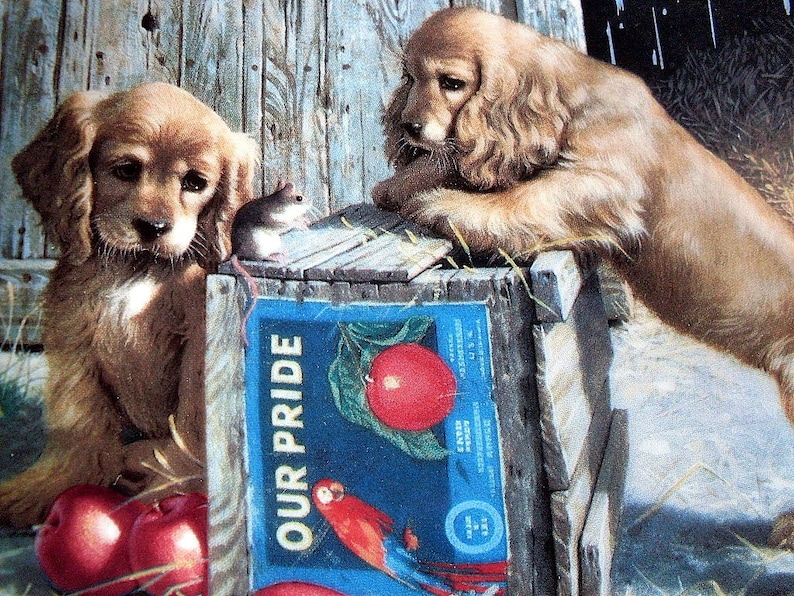 Puppy Plate Porcelain Gold Jim Lamb Hamilton 1987 Double Take Etsy