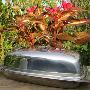 May include: A shiny, stainless steel butter dish with a domed lid and a handle. The dish is rectangular with rounded corners and sits on a wooden surface. Red and orange-toned leaves and pink flowers are visible above the dish.