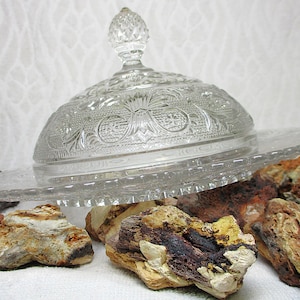May include: A clear, vintage glass butter dish with a decorative lid and a scalloped edge. The dish is surrounded by various colorful rocks, showcasing a natural and rustic aesthetic.