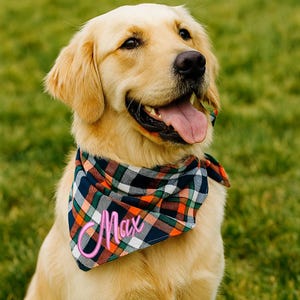 Personalized Dog Bandana, Custom Name Dog Bandana, Plaid Dog Scarf, Embroidered Dog Bandana, Monogram Dog Scarf, Purple Dog Neckerchief