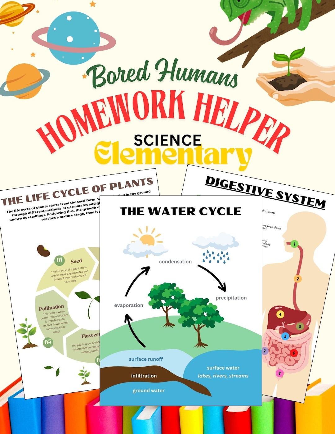 Science Homework Helper Worksheets PDF | Elementary Science Printable ...